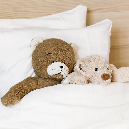 Scandic Hotel 4*